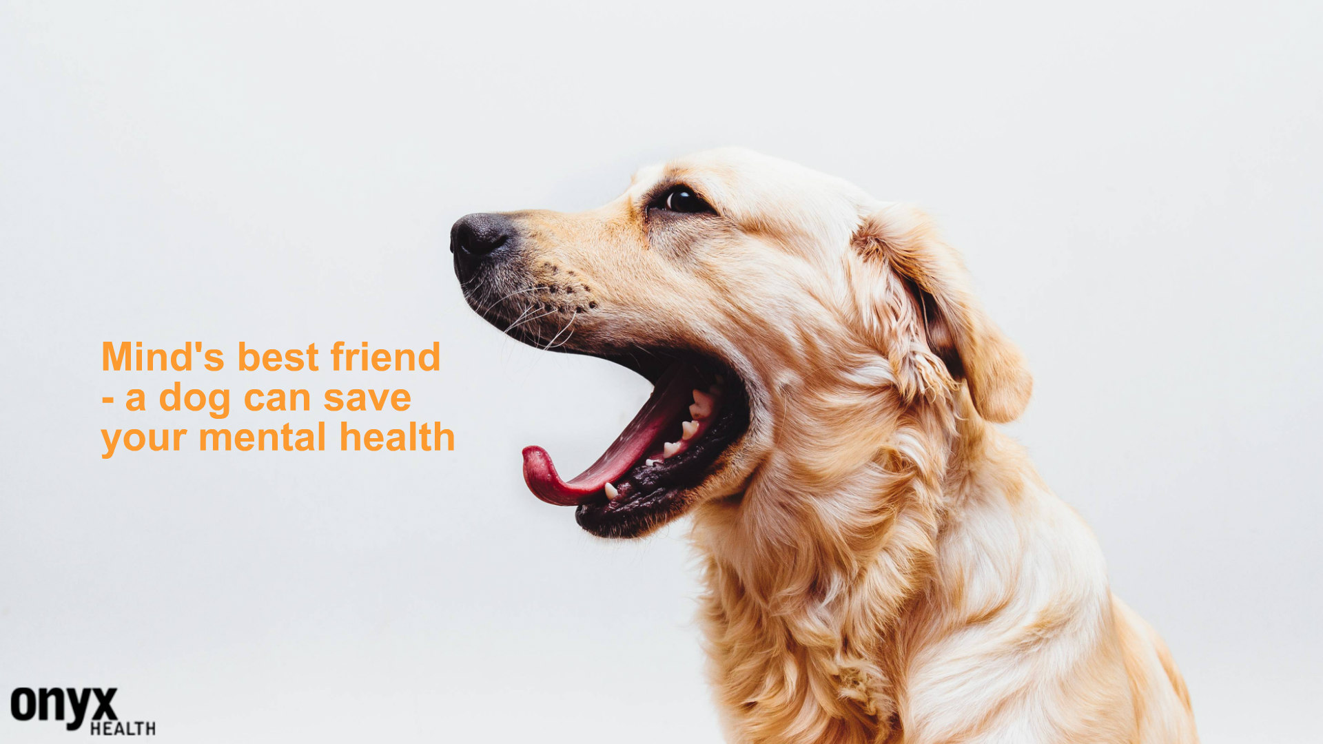 A dog can save your mental health