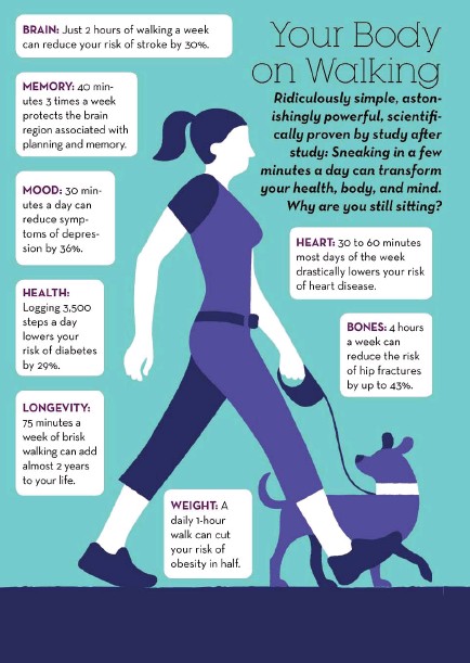 Mental health & dogs