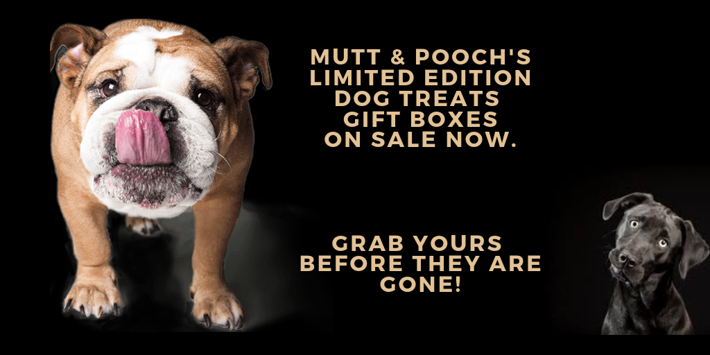 luxury natural dog treat gift boxes
