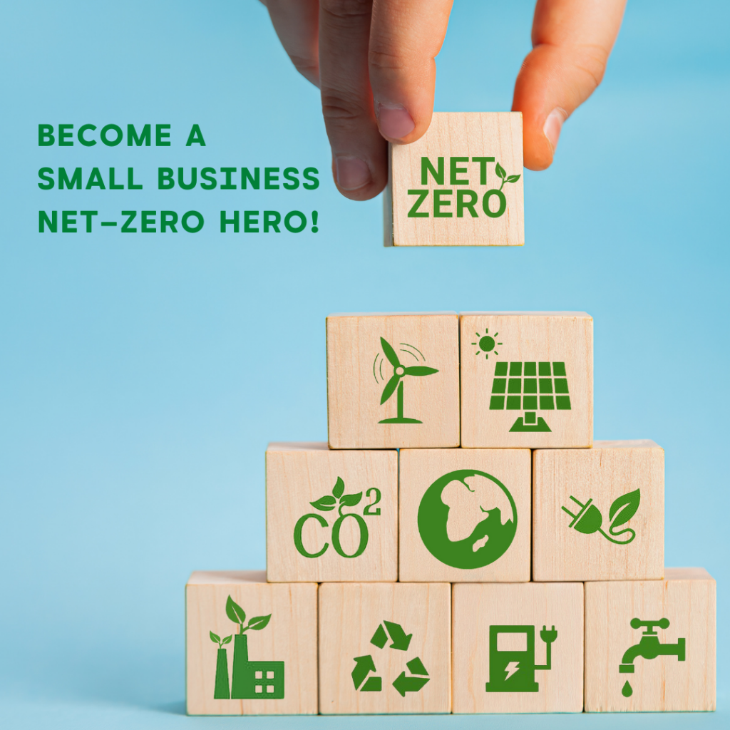 Planet-friendly small business: become a small business net-zero hero!